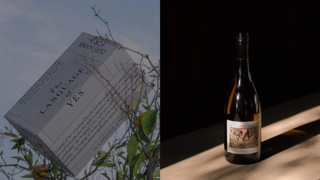 What Type of Packaging Drop Box Should Be Used for Wine Transportation? 1 What Type of Packaging Drop Box Should Be Used for Wine Transportation?