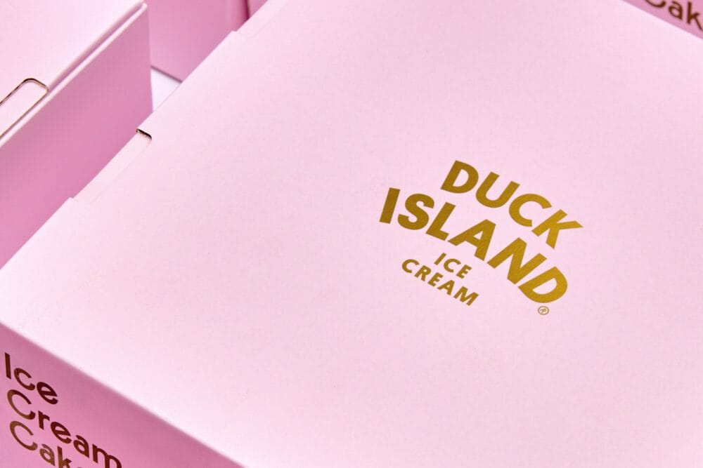 Creative Custom Cake Box Designs for Duck Island Area