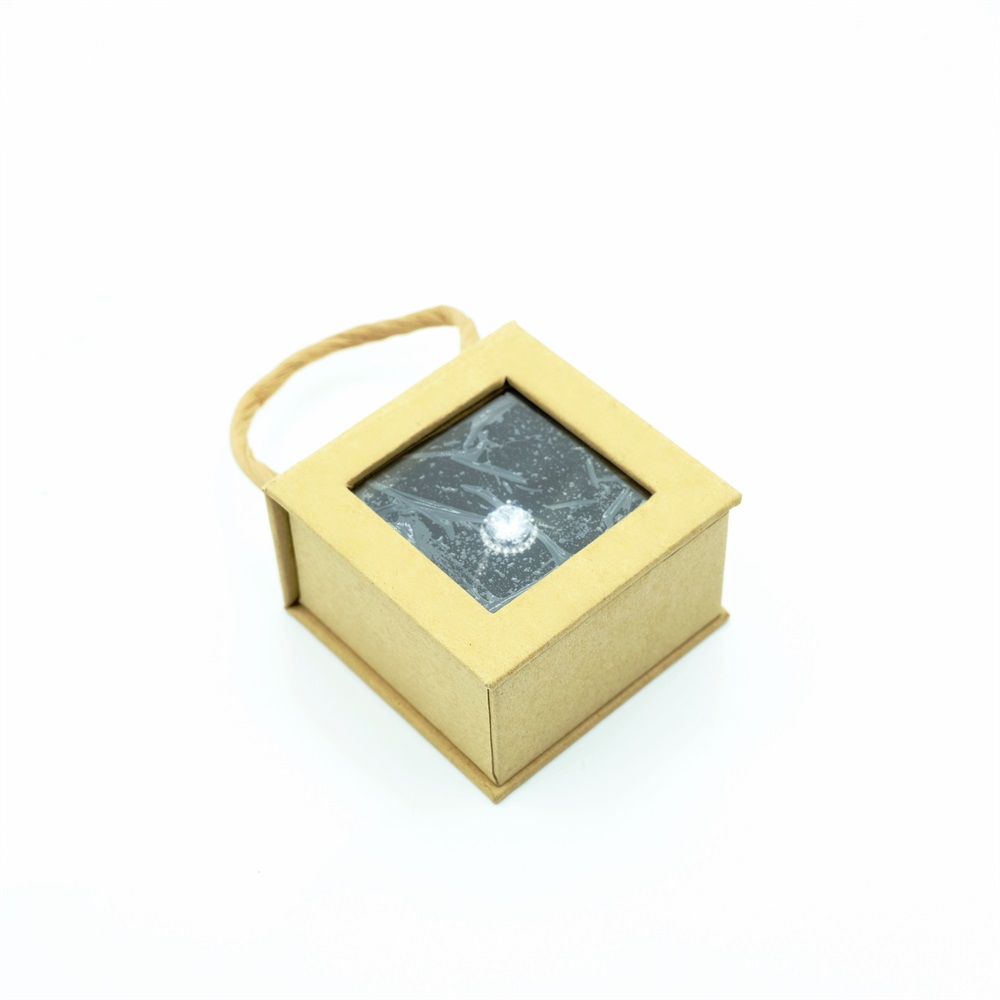 Clear Window Ring Box With Handle Jewelry Box Vendor KALI (4)