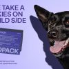 1734400145_Custom-Dog-Packaging-Elevate-Your-Brand-with-Wild-Pack-Boxes.jpg