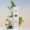 1734966812_Custom-Plant-Packaging-Elevate-Your-Home-with-Stylish-Boxes.jpg