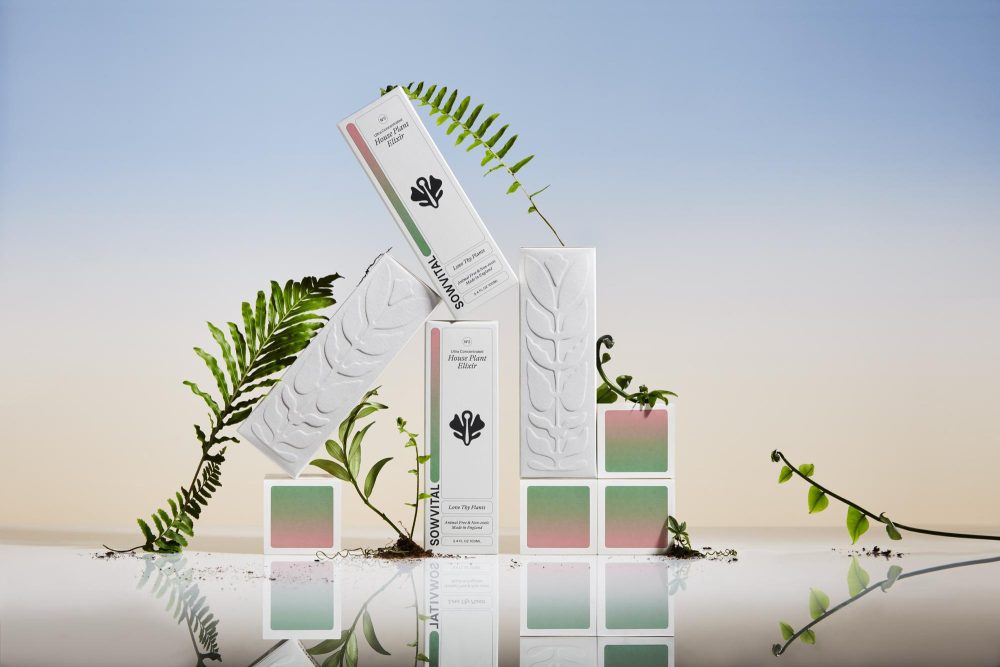 1734966823_Custom-Plant-Packaging-Elevate-Your-Home-with-Stylish-Boxes.jpg