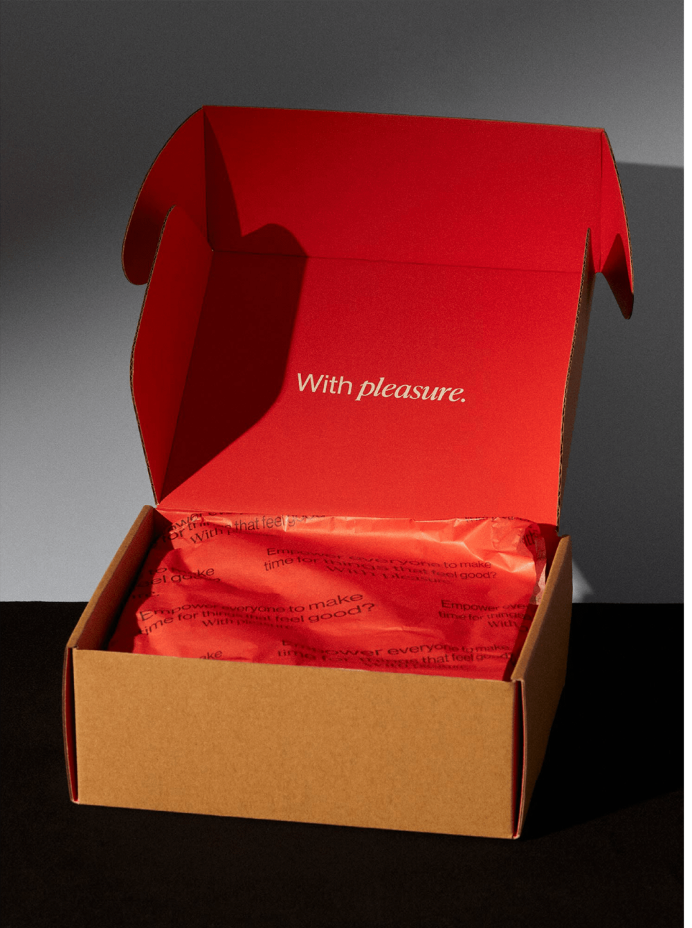 1735136760_Custom-Pleasure-Packaging-Elevating-the-Experience-with-Discreet-Boxes.png