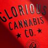 1735459309_Custom-Cannabis-Packaging-Unleashing-Creativity-with-Bold-Boxes.jpg