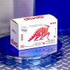 1735550012_Custom-Dino-Packaging-Unleash-the-Power-of-Exceptional-Boxes.jpg