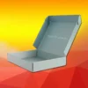 Color_Airplane_Custom_Underwear_Sock_Electronics_Cardboard_Packag (2)