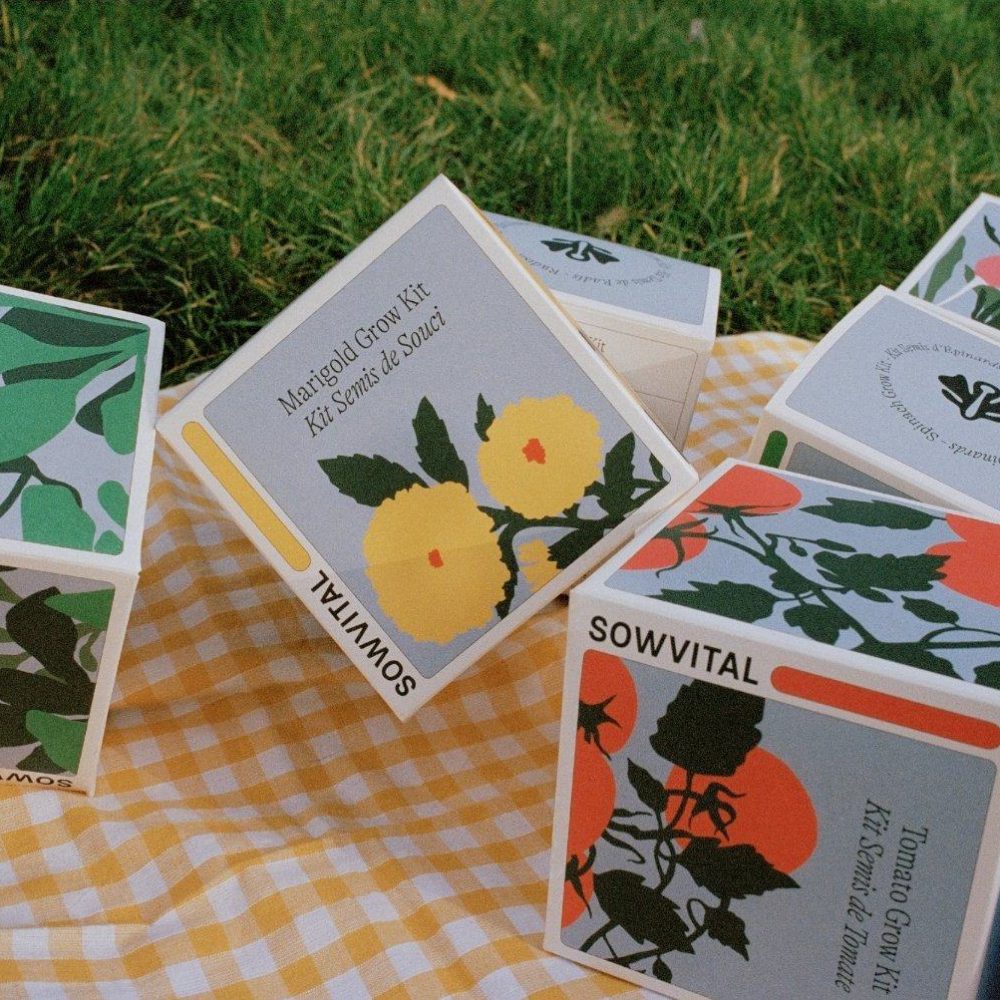 Custom Tool Packaging: Elevate Your Garden with Stylish Boxes!