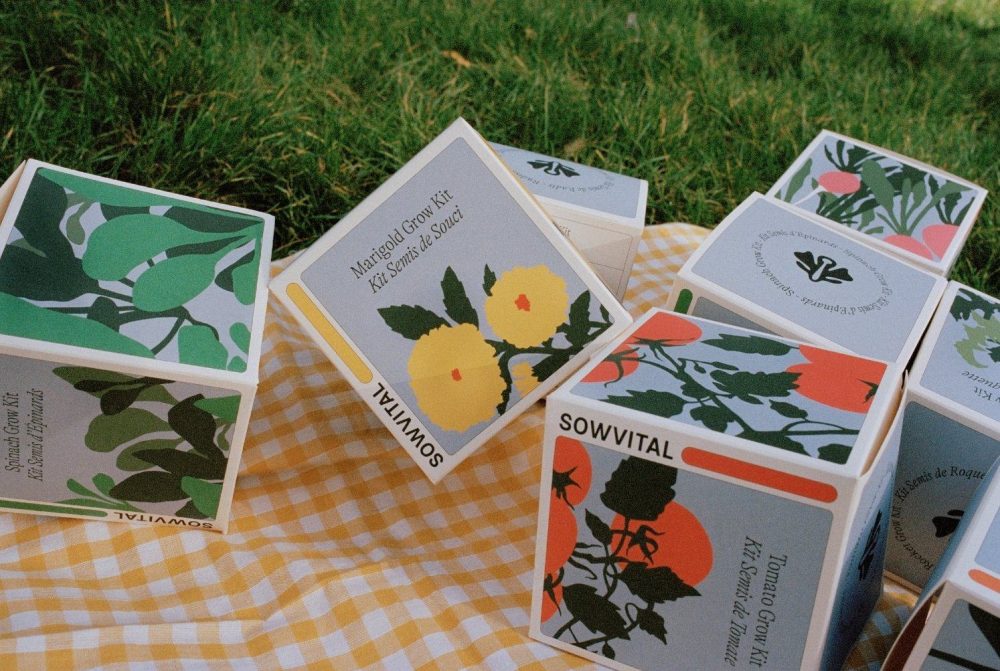 Custom Tool Packaging: Elevate Your Garden with Stylish Boxes!