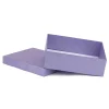 Custom_Logo_Eco_Friendly_Color_Paper_Cardboard_Purple_G