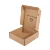 Custom_packaging_Cardboard_Carton_Extra_Hard_Small_Kraft_Paper_S (2)