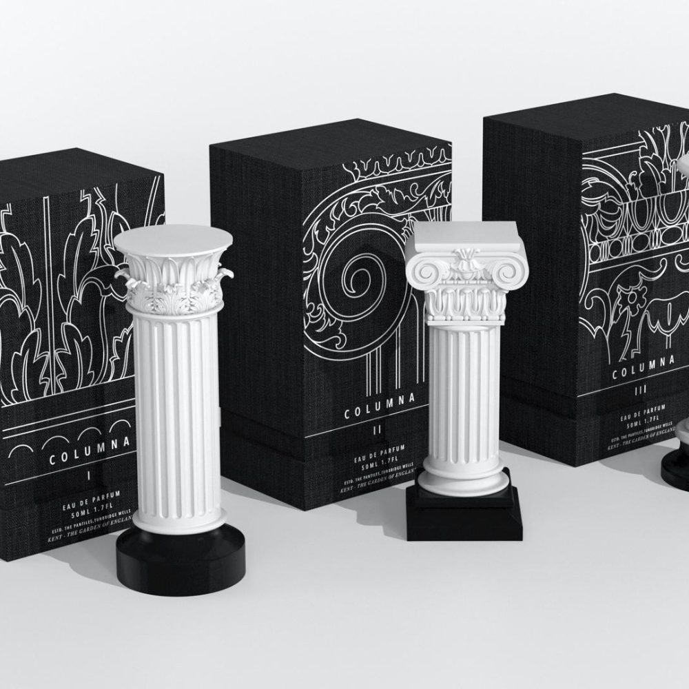 1736013320_Custom-Column-Packaging-Elevate-Fragrance-with-Iconic-Boxes.jpeg