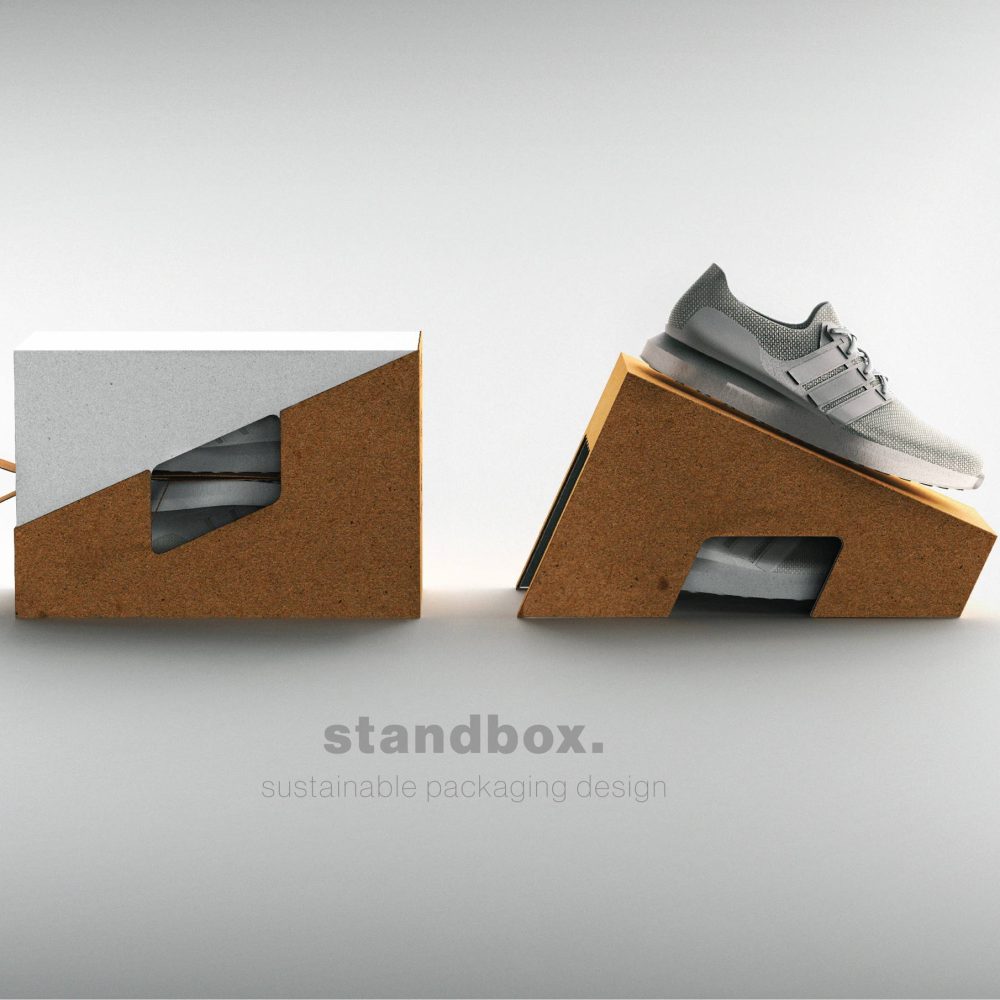 Custom Shoes Standbox Packaging